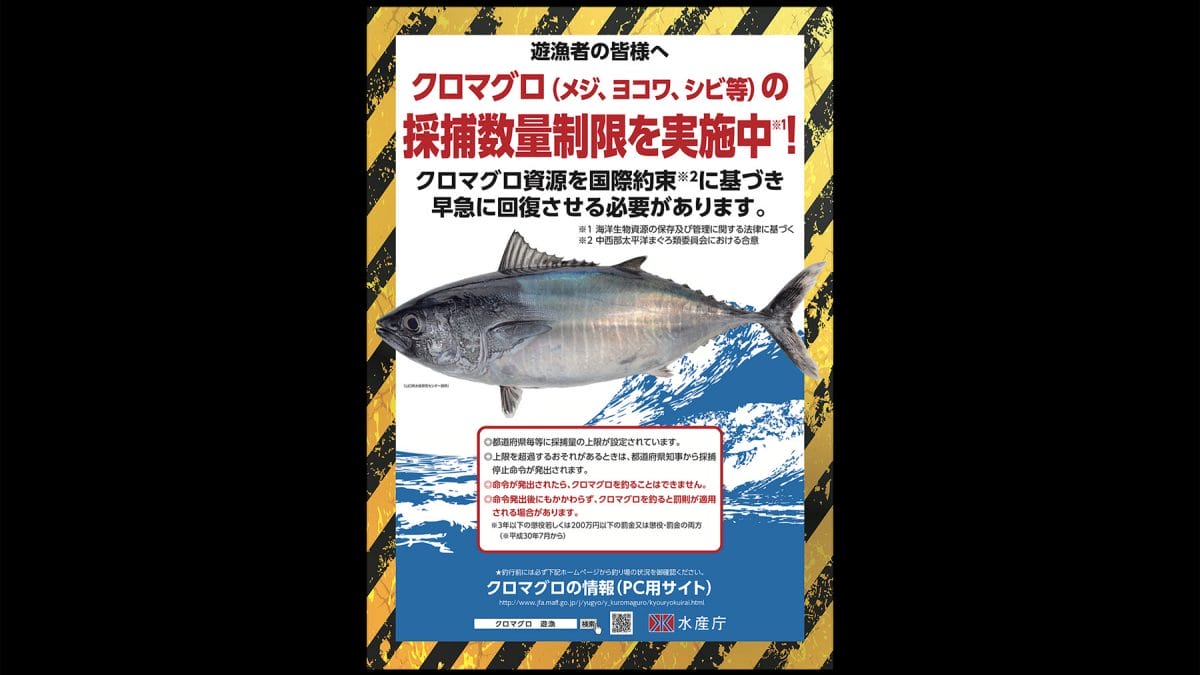 クロマグロ 沖縄県でも禁漁に 宮古島経済新聞