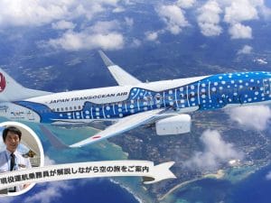 Jta 4月より関西 宮古線を9年ぶりに再開 宮古島経済新聞 Jta 4月より関西 宮古線を9年ぶりに再開 宮古島経済新聞